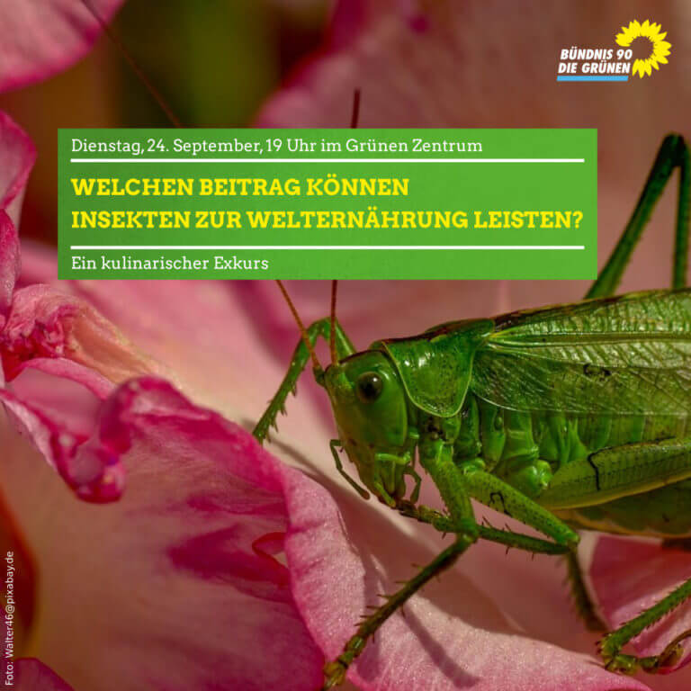 Welchen Beitrag können Insekten für die Welternährung leisten? – Ein kulinarischer Exkurs im Rahmen der FAIREN WOCHE 2019