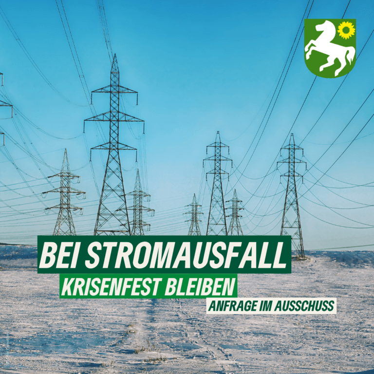 Grüne Fraktion thematisiert Krisenfestigkeit bei Stromausfällen