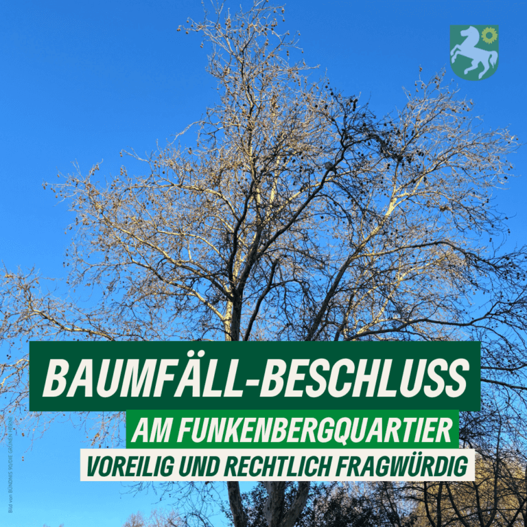 Grüne Fraktion kritisiert Baumfäll-Beschluss in Herne-Mitte als voreilig und rechtlich fragwürdig