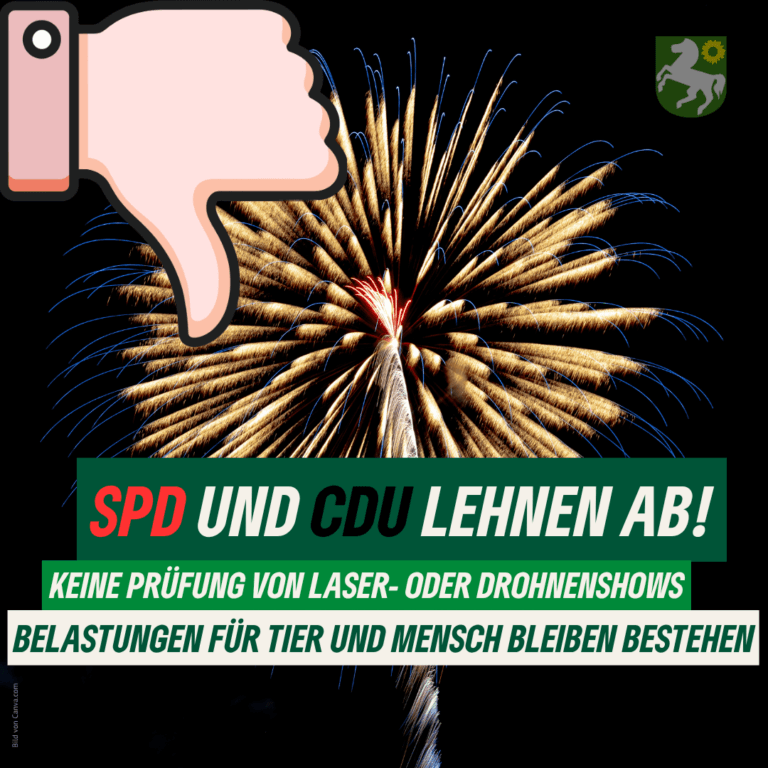 Grüne kritisieren Ablehnung ihres Prüfantrags zur Silvesternacht